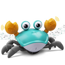 Kruipende Krab