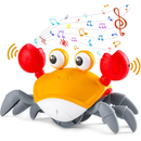 Kruipende Krab