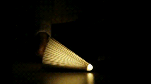 LuxHome LED Boeklamp