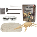 Archeo Dinosaurus Fossielen