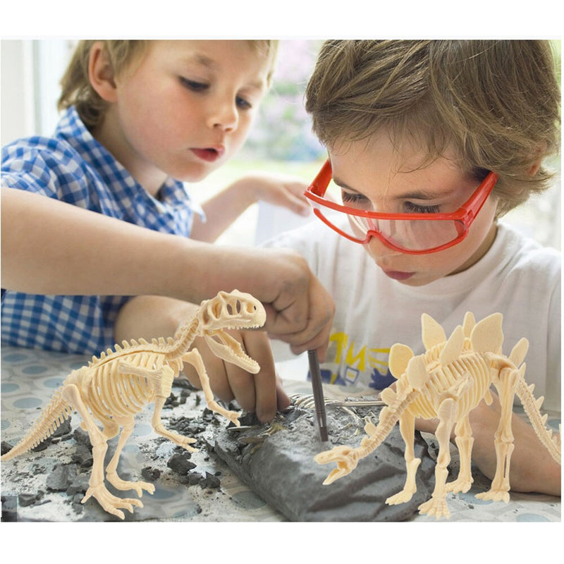 Archeo Dinosaurus Fossielen