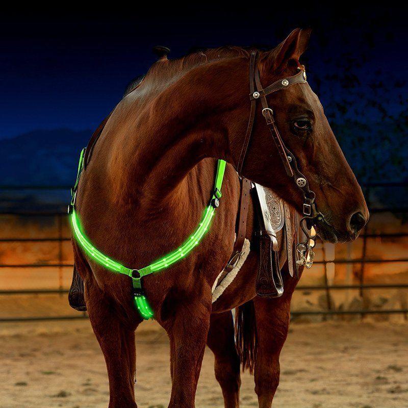 LED Borsttuig voor paard en pony - ClickToBuy.nl
