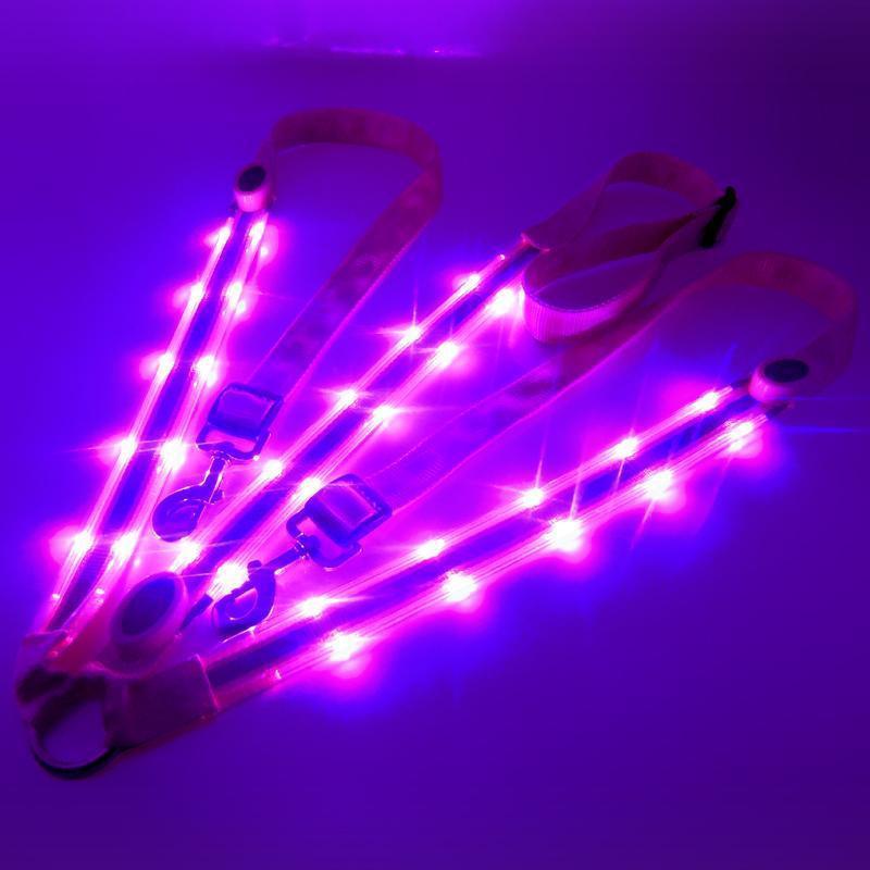 LED Borsttuig voor paard en pony - ClickToBuy.nl