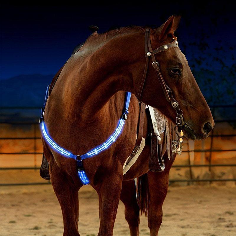 LED Borsttuig voor paard en pony - ClickToBuy.nl