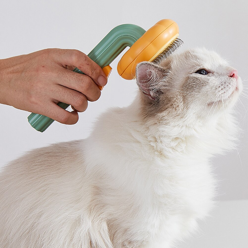 Dierenborstel-ClickToBuy.nl