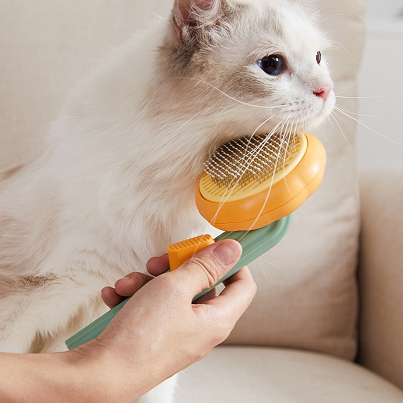 Dierenborstel-ClickToBuy.nl