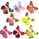 Magische Vlinder - ClickToBuy.nl